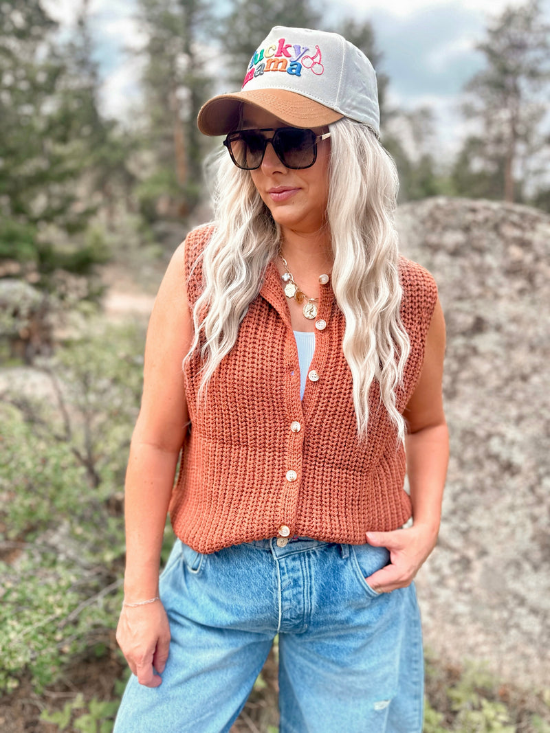 Jenna Button Up Sweater Vest in Brick