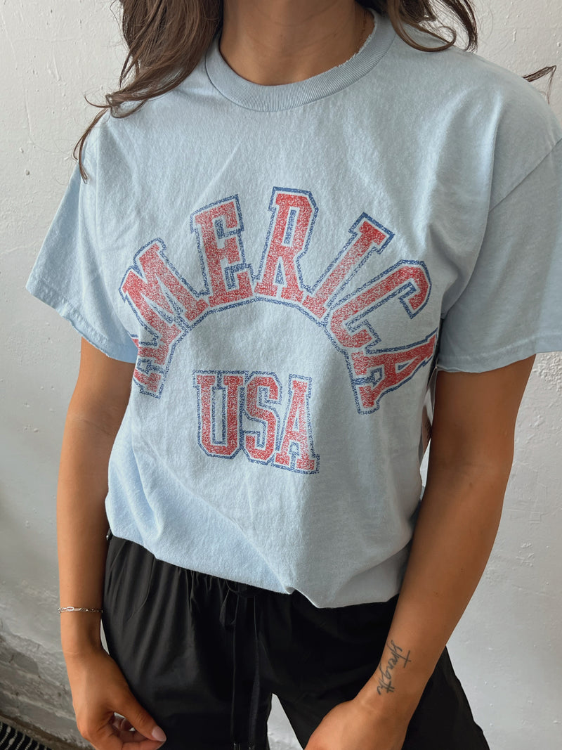 USA Arch Thrifted Tee in Blue