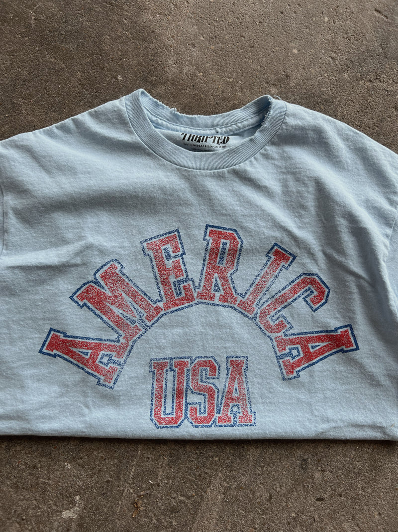 USA Arch Thrifted Tee in Blue